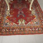 699 3123 ORIENTAL RUG